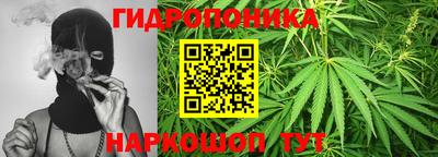 PSILOCYBIN Гай