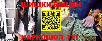 гидра Гатчина