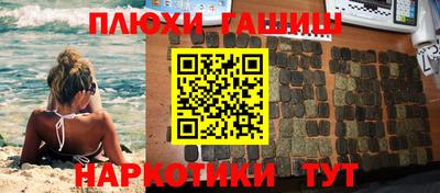 гидра Гатчина